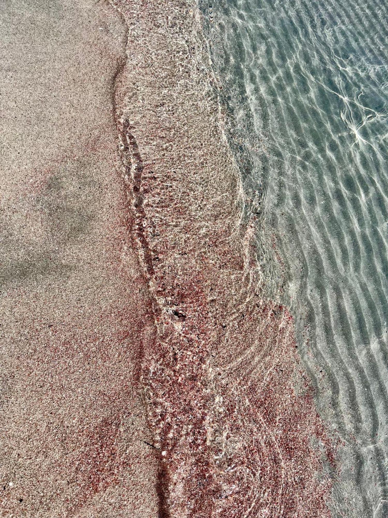Case Vacanze "Bianco Mare" Porto Pino Exteriör bild